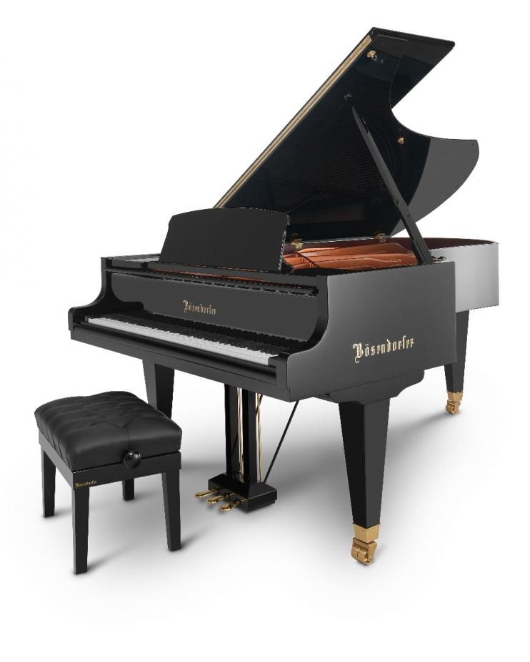 Bosendorfer_225_-_6.jpg
